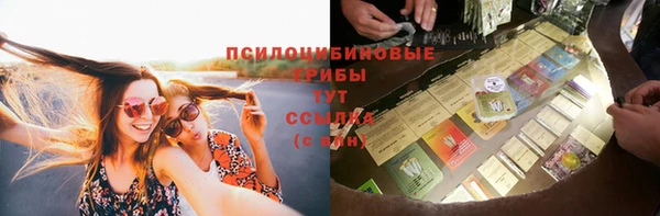 спиды Елабуга