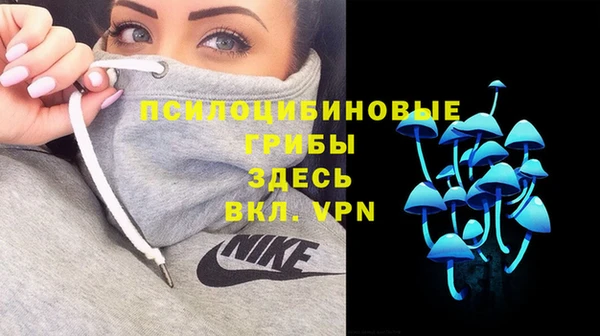 гидропоника Елизово