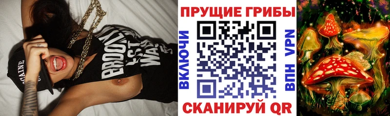 Купить где  Котельнич  Псилоцибиновые грибы мицелий 